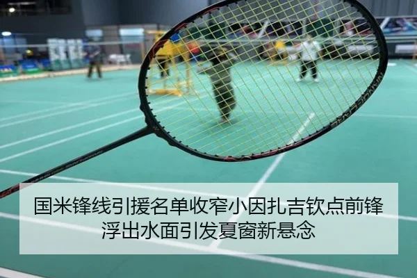 国米锋线引援名单收窄小因扎吉钦点前锋浮出水面引发夏窗新悬念